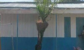 Dapur MBG di Lohia Dibangun, Warga Siap Dukung Program Makan Bergizi untuk Siswa 5 Dapur MBG di Lohia Dibangun, Warga Siap Dukung Program Makan Bergizi untuk Siswa