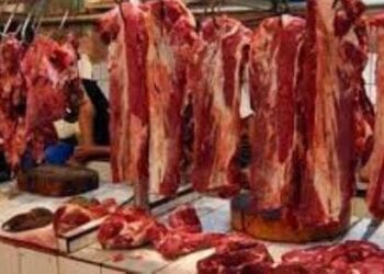Daging Sapi