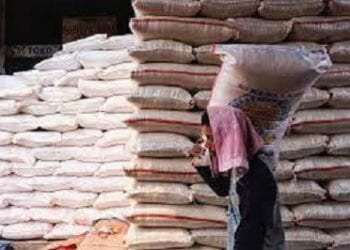 TPID Pastikan Stok Beras di Maluku Aman