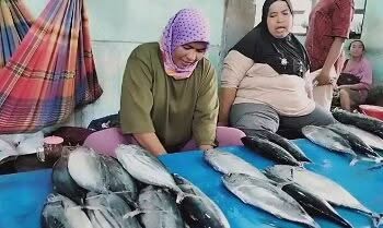 Ikan 01