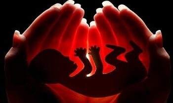 Aborsi
