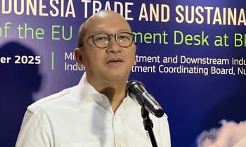 Danantara: Freeport Setuju Lepas 12 Persen Saham ke Indonesia Gratis