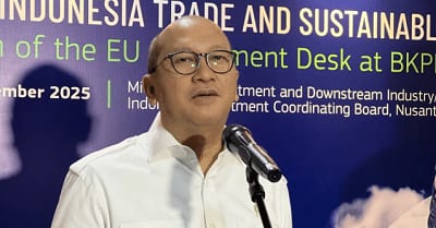 Danantara: Freeport Setuju Lepas 12 Persen Saham ke Indonesia Gratis