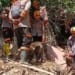 K-9 Polri Maksimalkan Pencarian Korban Sibolga