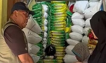 Stabilkan Pangan Maluku, Bulog Serap Ribuan Ton Gabah dari Buru